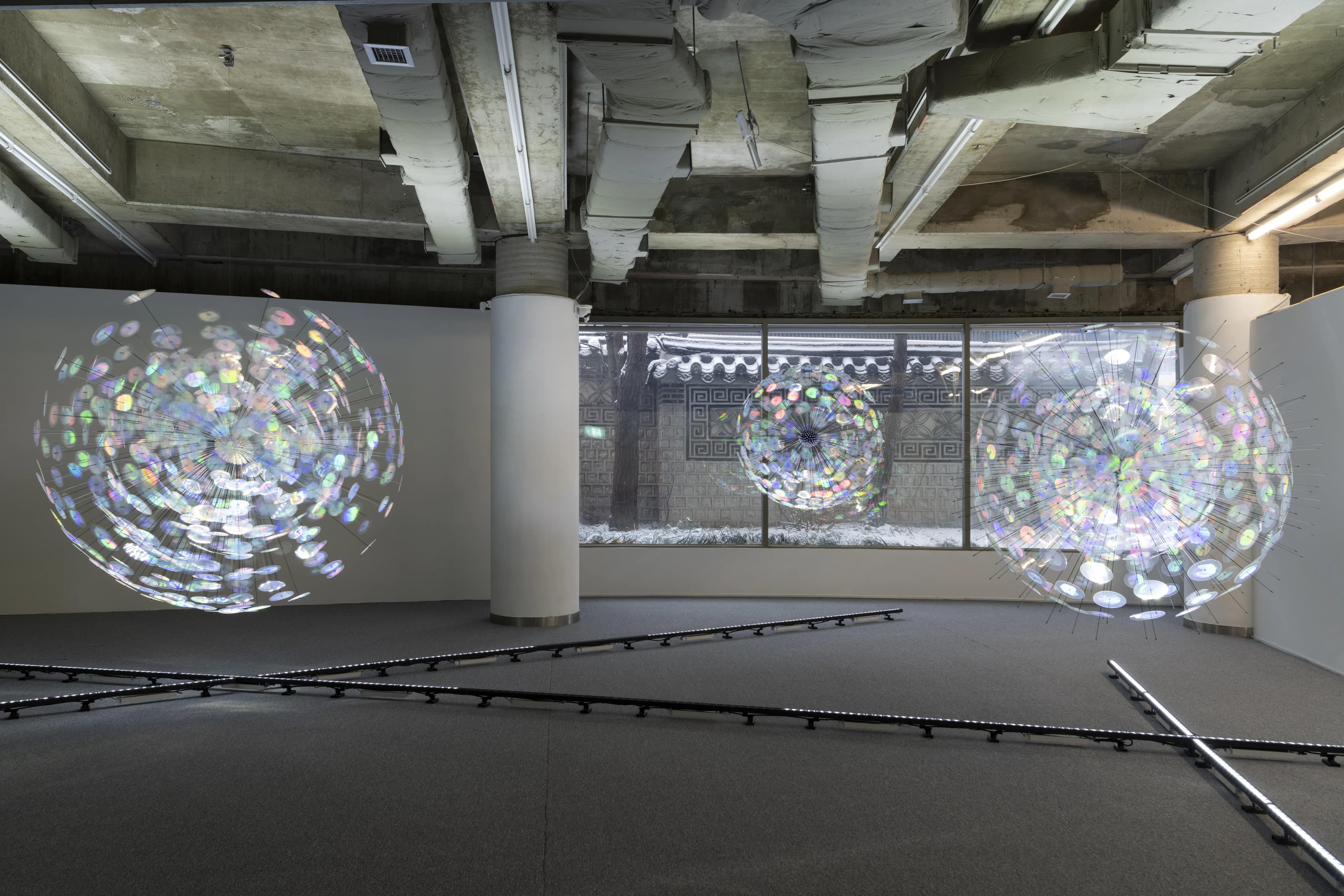 Stain Rainbow Forest